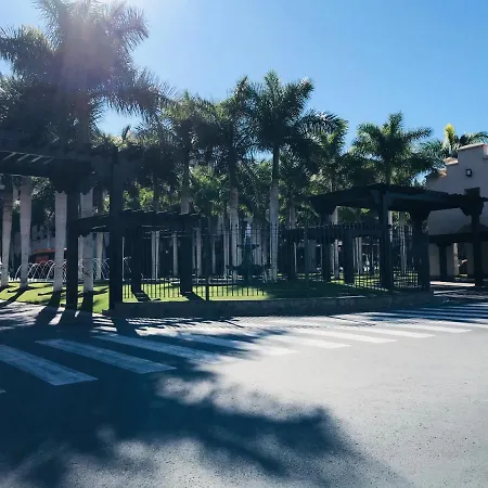 Palmeral Oasis